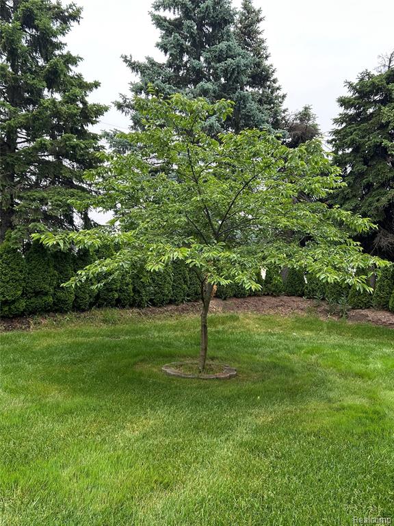5859 Calgary Court, Sterling Heights, MI 48314 — Photo 53