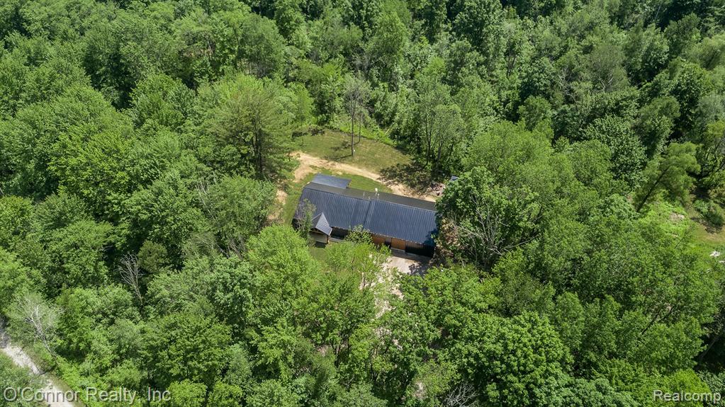 3650 Rabidue Road, Clyde, MI 48049 — Photo 47