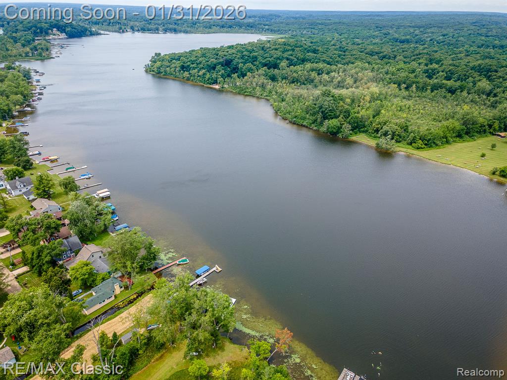 14049 Edgewater Drive, Gregory, MI 48137 — Photo 39