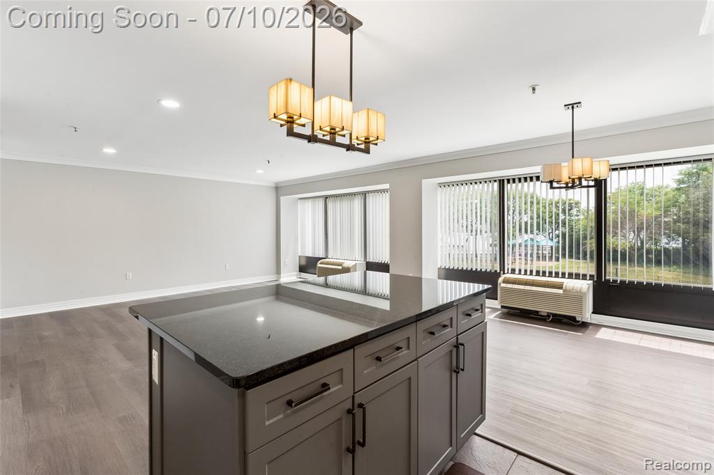 1001 W Jefferson Avenue, 2a, Detroit, MI 48226 — Photo 5