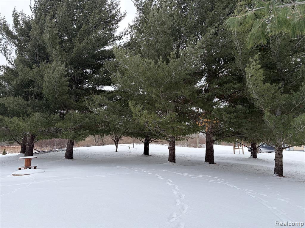 5467 Wellington, Gladwin, MI 48624 — Photo 3