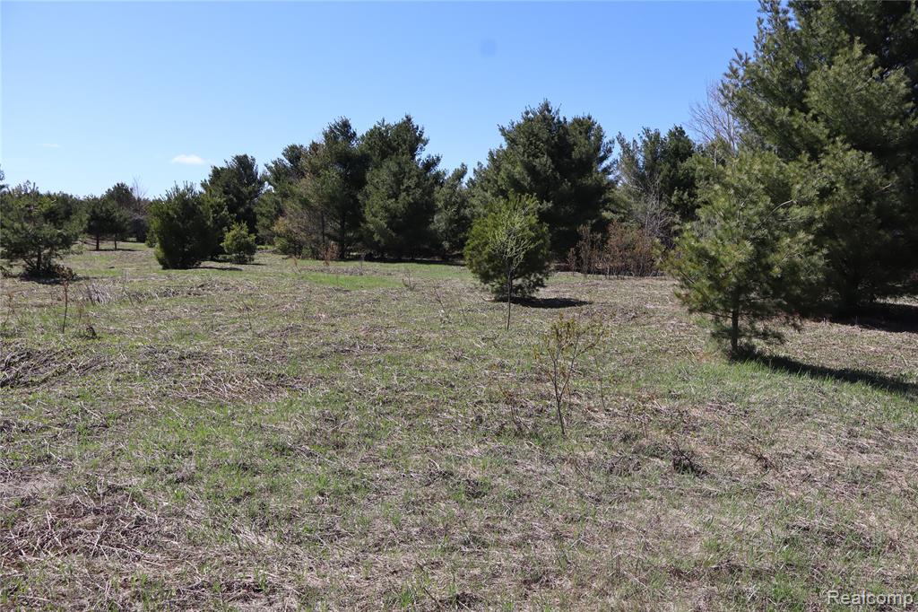 5575 E 26 Mile Road, Pickford, MI 49774 — Photo 10