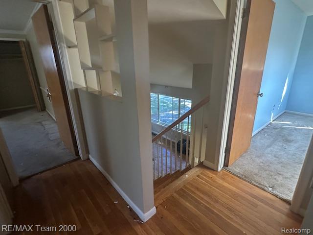 9043 Wormer, Redford, MI 48239 — Photo 24