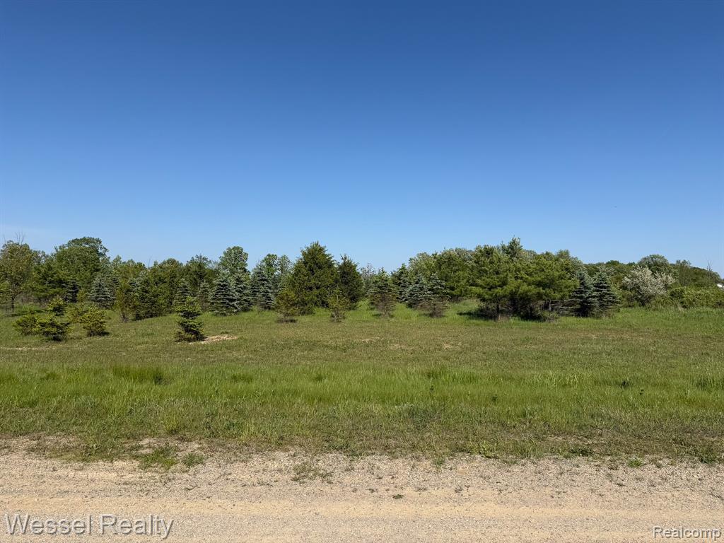0 Windmill Lane, Imlay City, MI 48444 — Photo 2