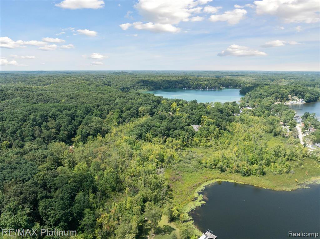 8751 Beechwood Drive, Gregory, MI 48137 — Photo 57
