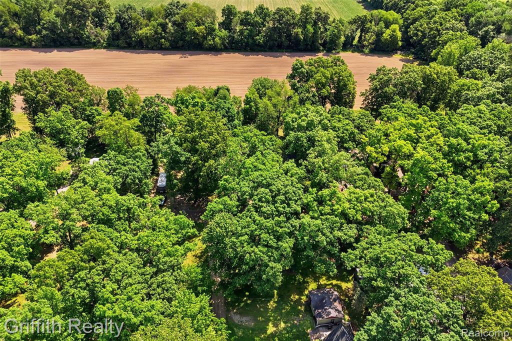 260 Ellsworth Lake Drive, Gregory, MI 48137 — Photo 38