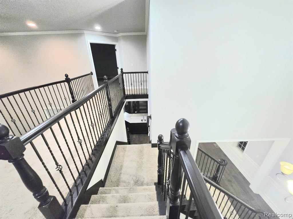 15342 Amberfield Drive, Macomb, MI 48042 — Photo 19