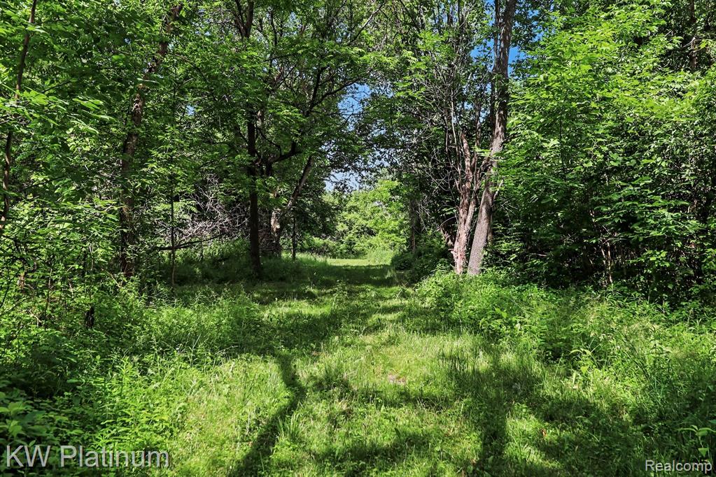 5918 Jeddo Road, MI 48032 — Photo 30