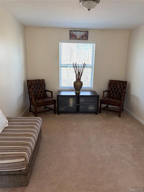 44265 Timberview Court, Belleville, MI 48111 — Photo 32