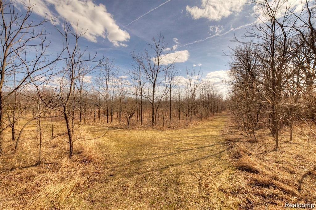 58405 TRAVIS Road, New Hudson, MI 48165 — Photo 13