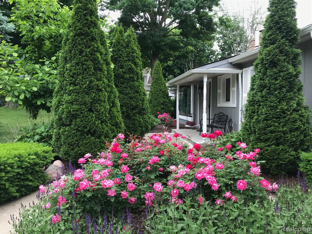 46877 W ANN ARBOR Trail, Plymouth, MI 48170 — Photo 3