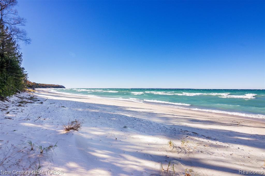 5971 N Birchwood Road, Leland, MI 49654 — Photo 4