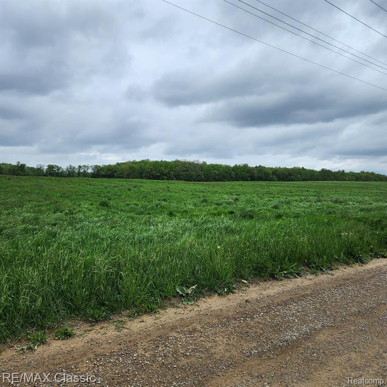 8520 ARKONA Road, Clinton, MI, 49236