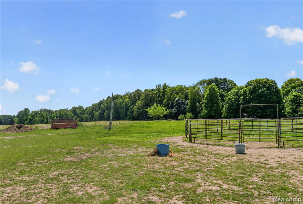 25692 M 60, Homer, MI 49245 — Photo 46