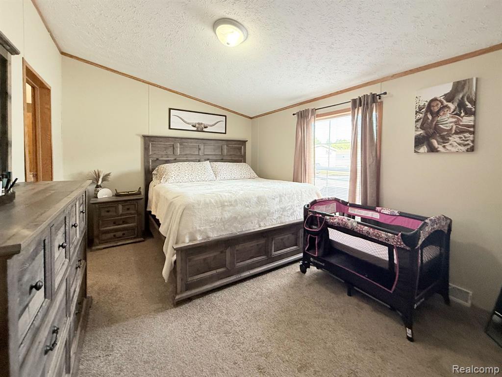 317 Scarlet Oak Lane, Whittaker, MI 48190 — Photo 8
