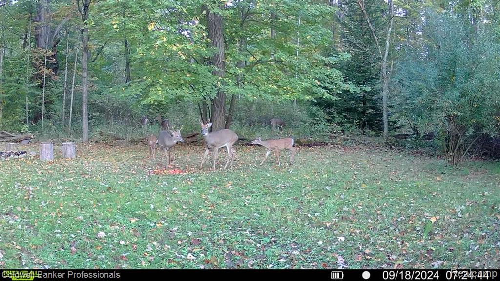 VL Rattle Run Road, St. Clair, MI 48079 — Photo 32