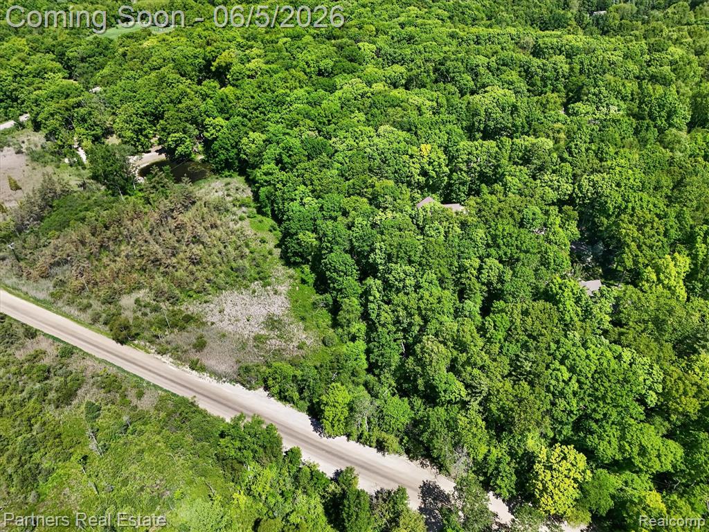 4053 Rolling Acres Drive, Hartland, MI 48353 — Photo 67