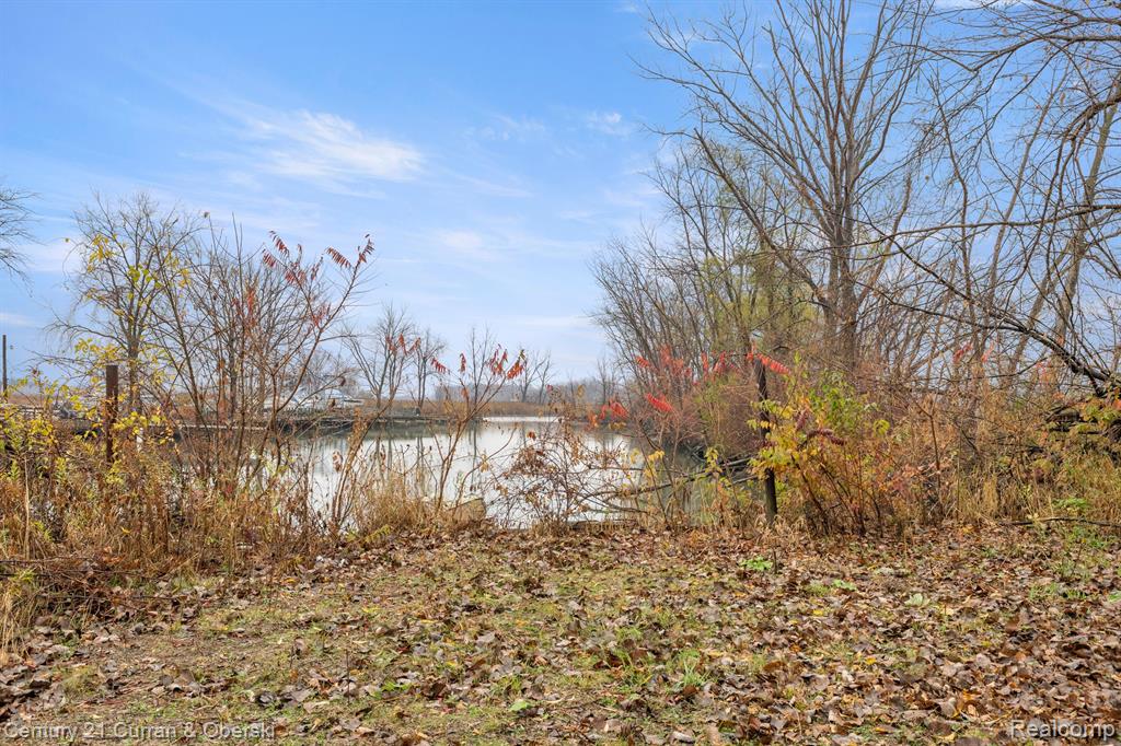 5800 S Otter Creek Road, La Salle, MI — Photo 9