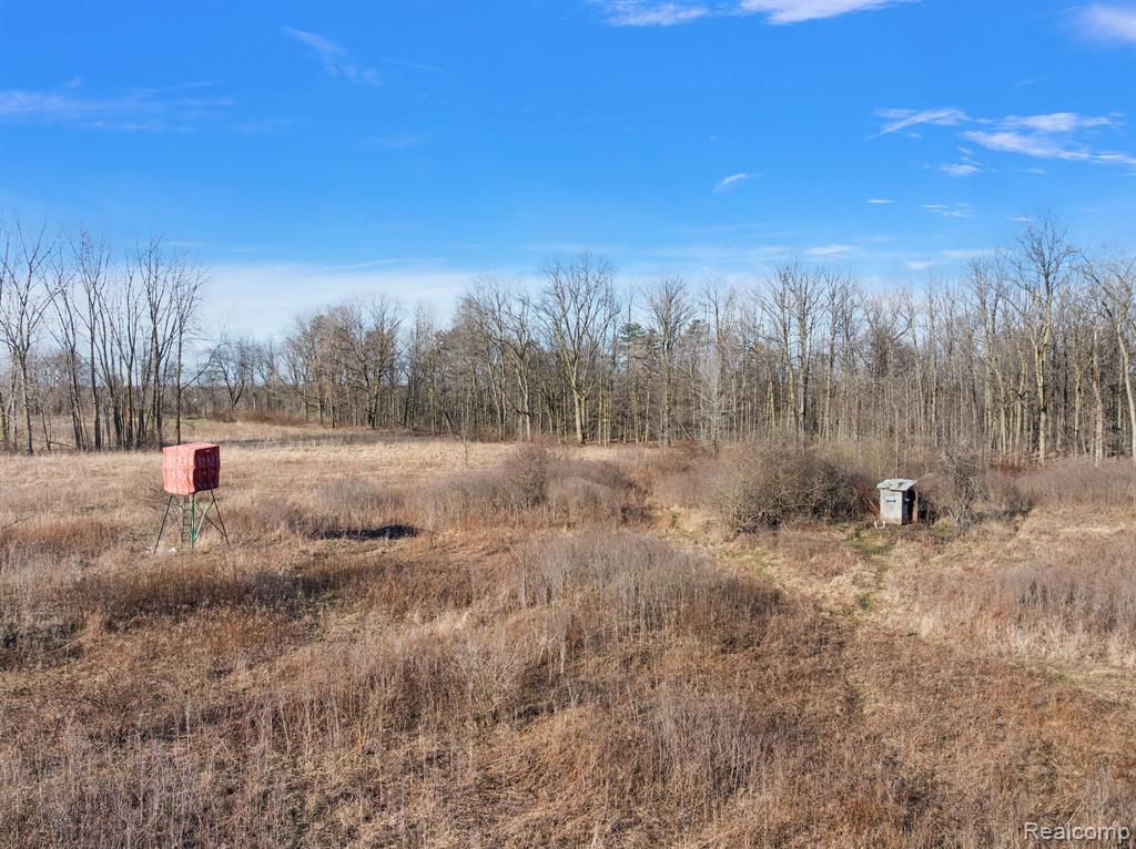 435 Capac Road, Berlin, MI 48002 — Photo 58