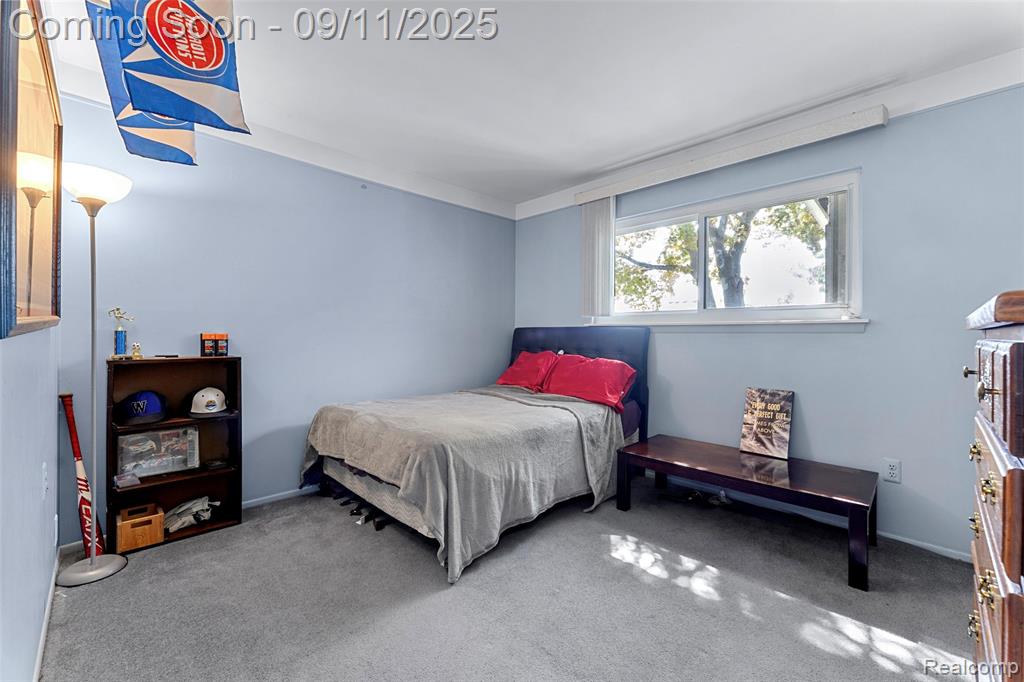 22019 Hanover Court, Woodhaven, MI 48183 — Photo 11
