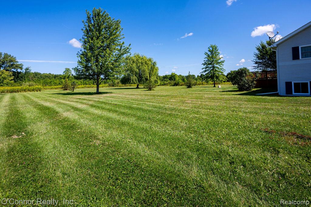 8552 Rynn Road, Avoca, MI 48006 — Photo 29