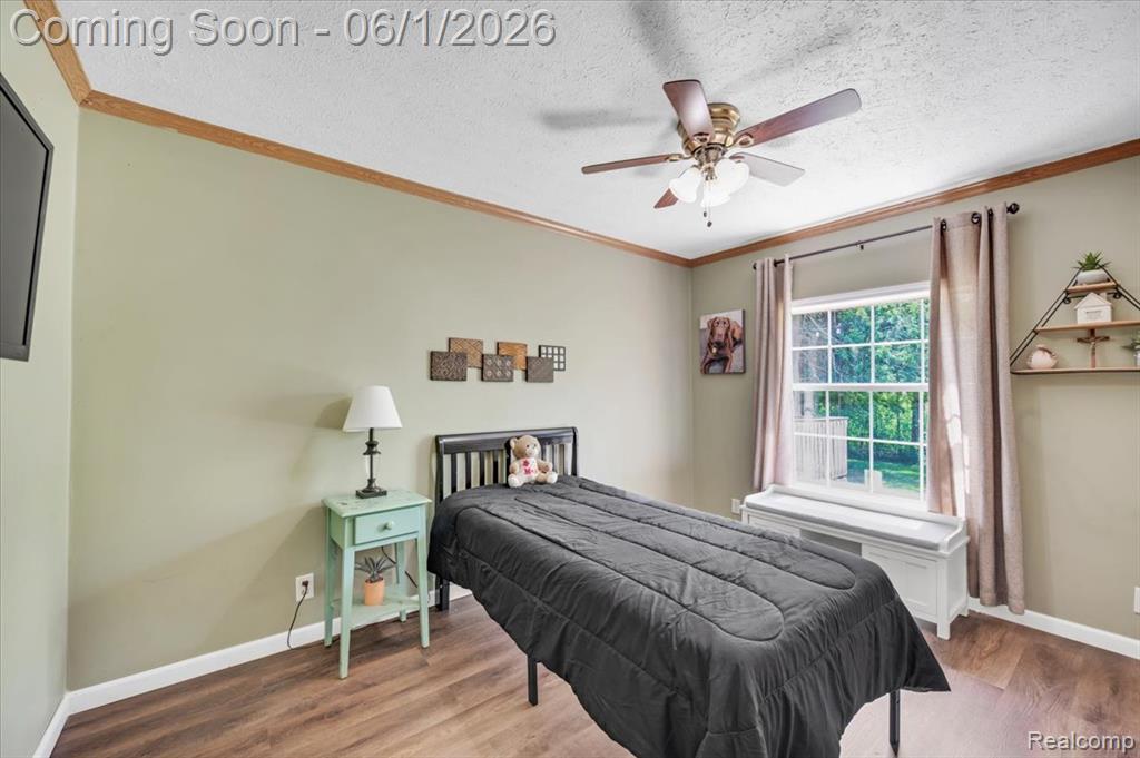 1683 Hayden Road, Attica, MI 48412 — Photo 23