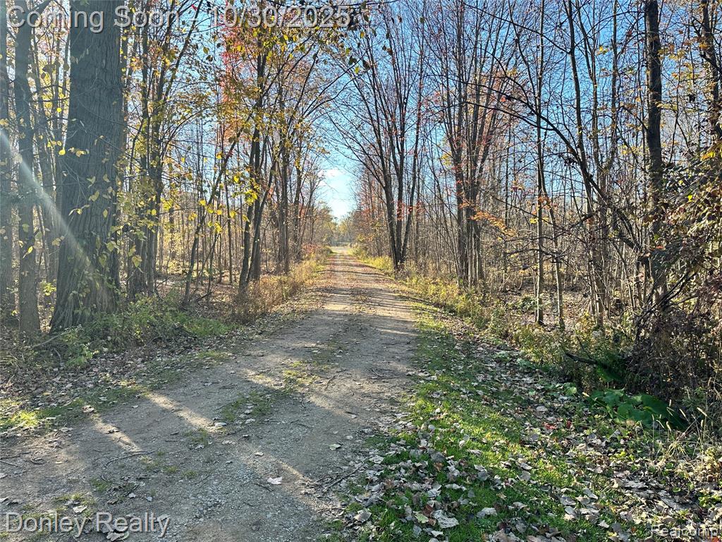 1300 N Van Dyke Road, Marlette, MI 48453 — Photo 22
