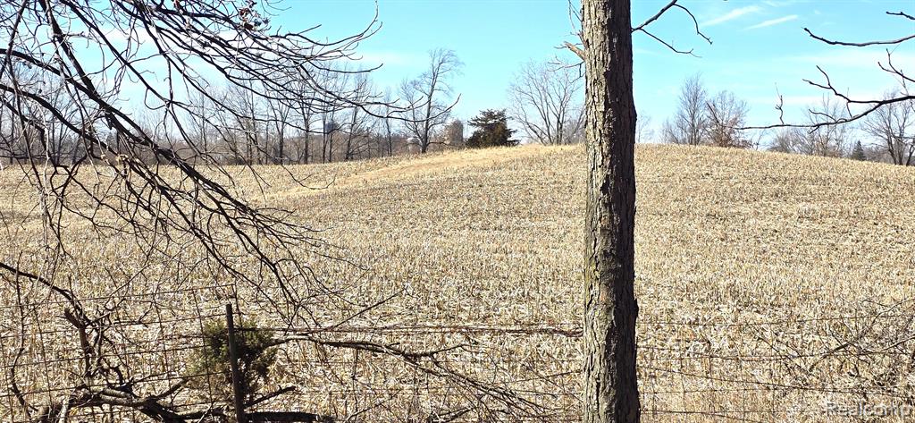 8950 GREENWOOD Road, Jackson, MI 49201 — Photo 43