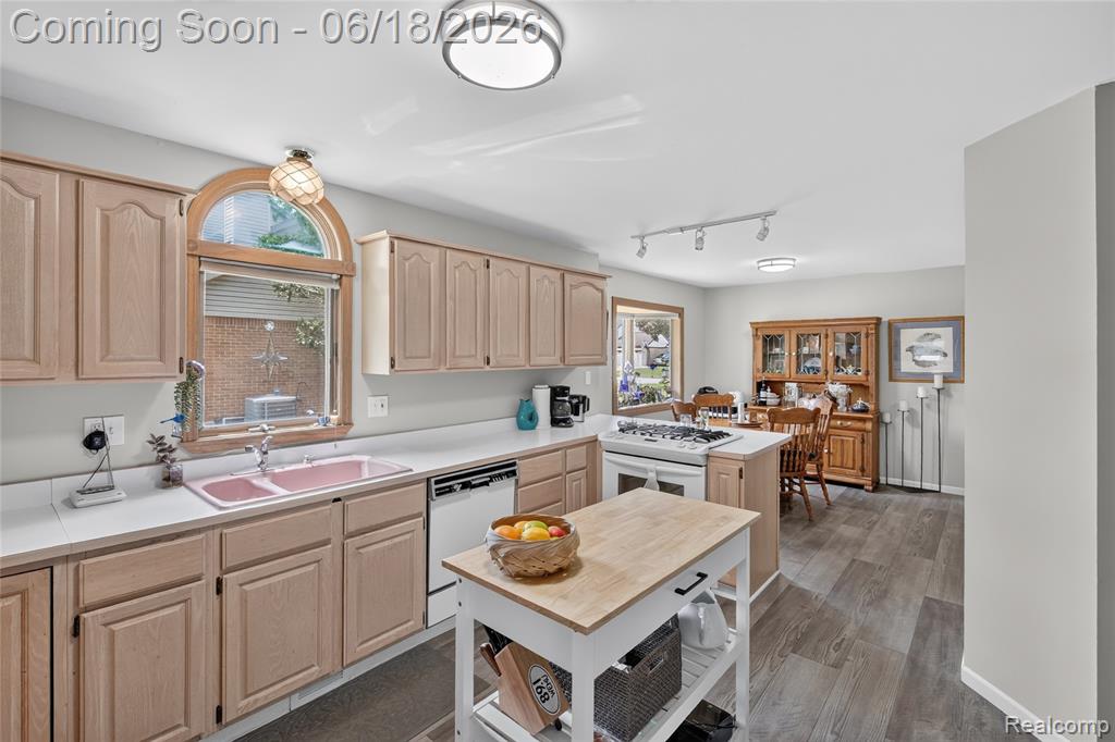 13231 Linda Vista Street, Belleville, MI 48111 — Photo 11
