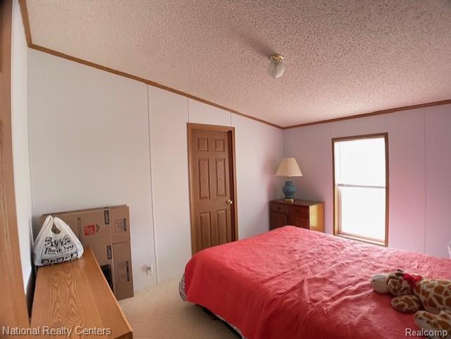 2538 Parrott Street, Deckerville, MI 48427 — Photo 22