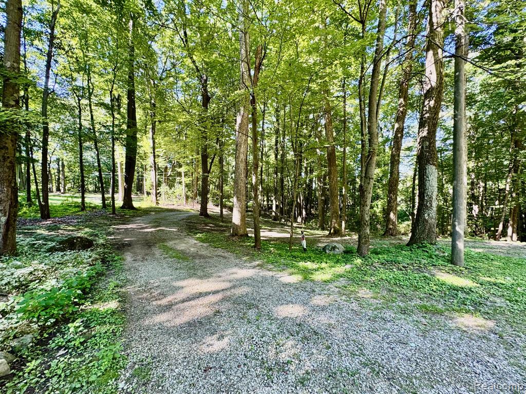 3711 Baldwin Road, Metamora, MI 48455 — Photo 73