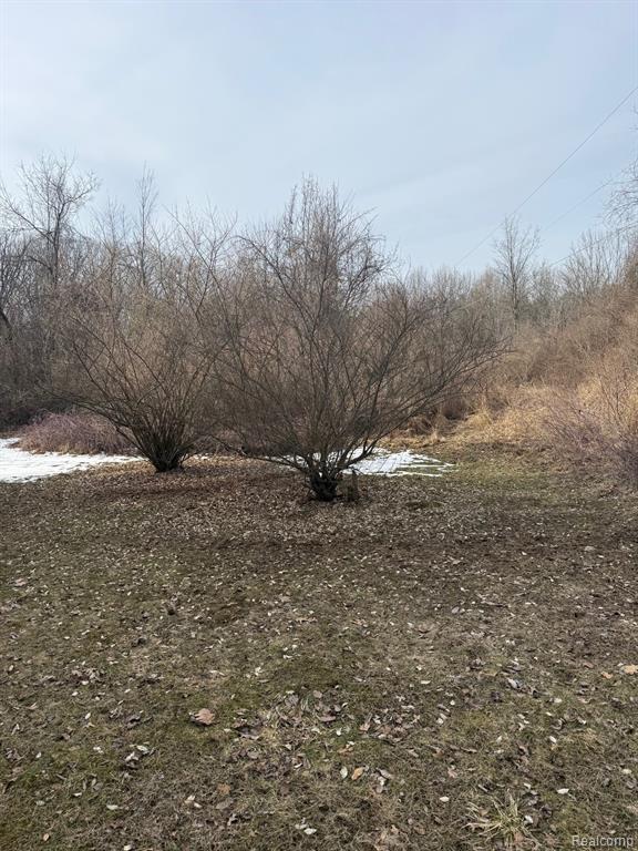 3590 Lippincott Road, Lapeer, MI 48446 — Photo 21