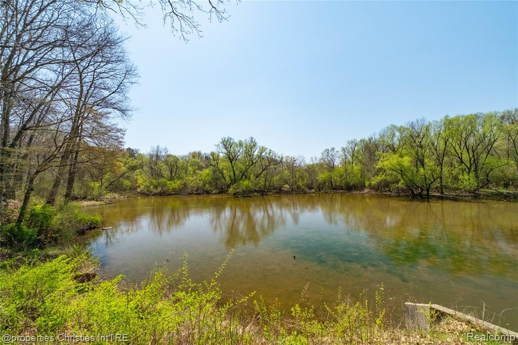 42559 Steepleview Street, Northville, MI 48168 — Photo 46