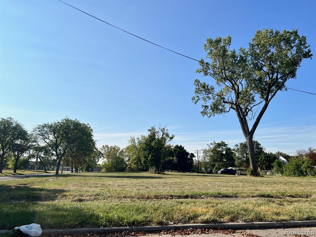 2105 Antoinette Street, Detroit, MI 48208 — Photo 6