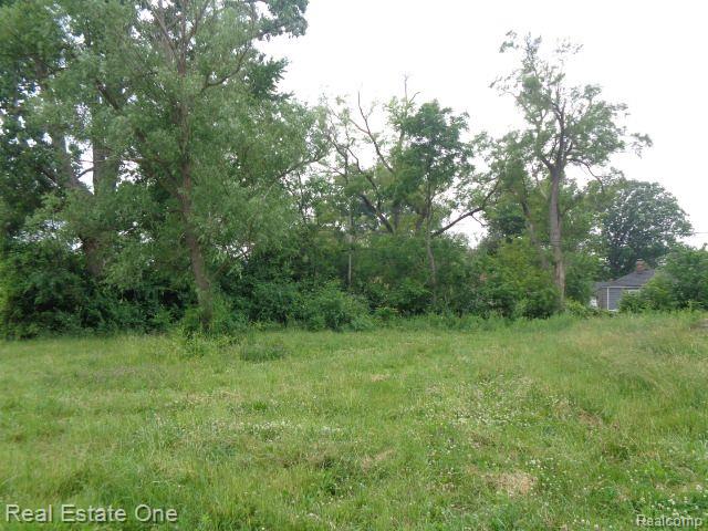 19411 KENTFIELD Street, Detroit, MI 48219 — Photo 4