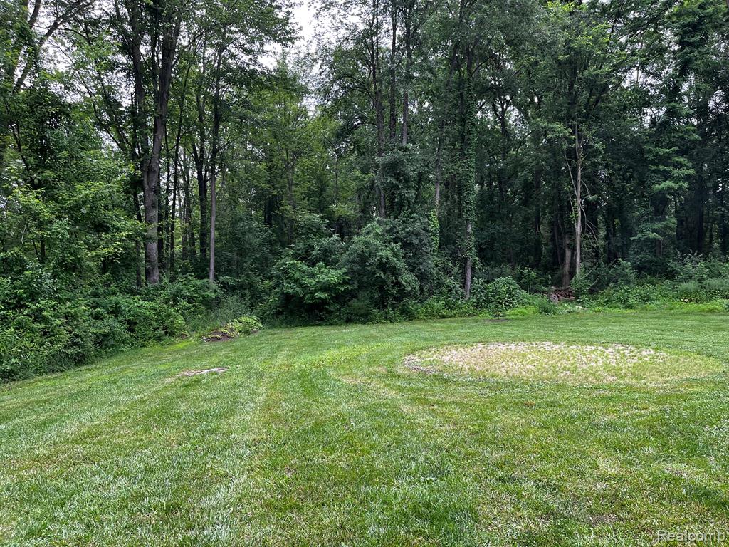 895 Jennings Road, Whitmore Lake, MI 48189 — Photo 43