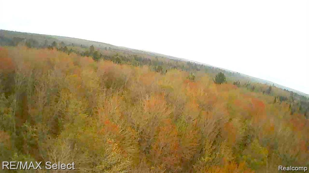 4610 SANMOTT Trail NE, Kalkaska, MI 49646 — Photo 9