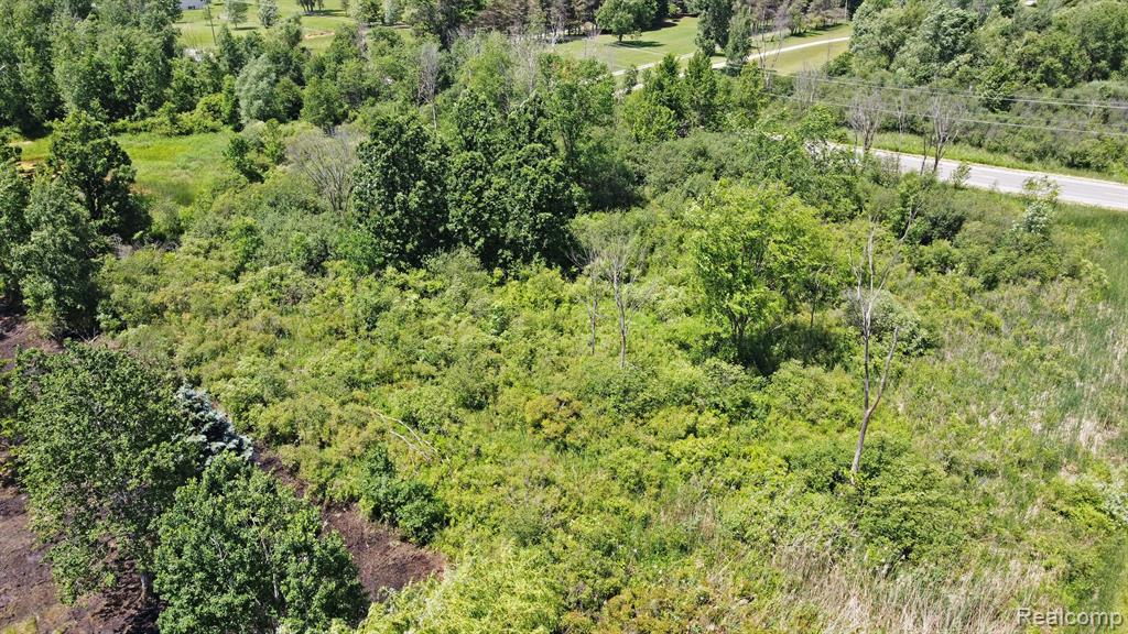 Vacant Land Brandt Road, Ortonville, MI 48462 — Photo 8