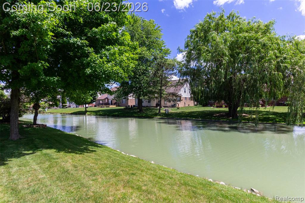 27533 Winchester Terrace, Brownstown, MI 48183 — Photo 50
