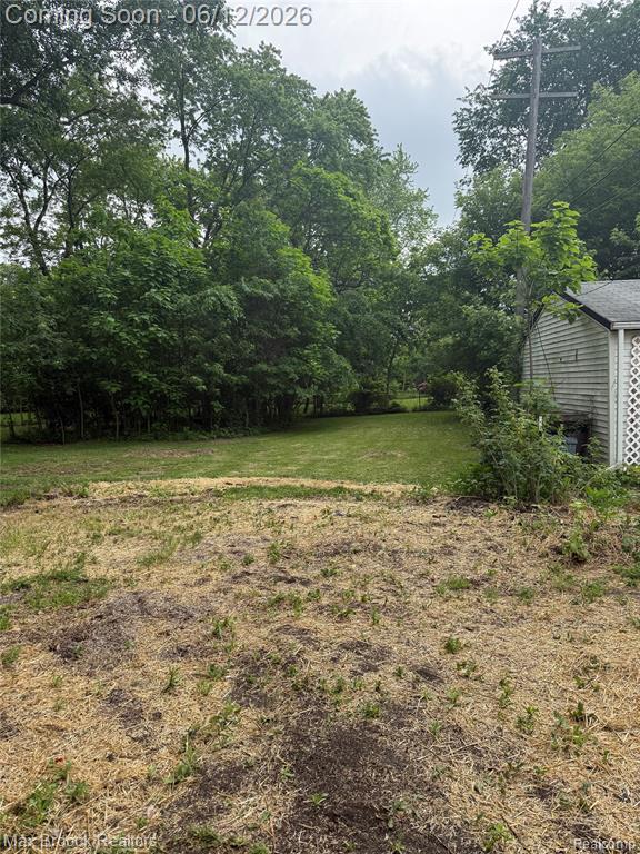 30066 Bock Street, Garden City, MI — Photo 19