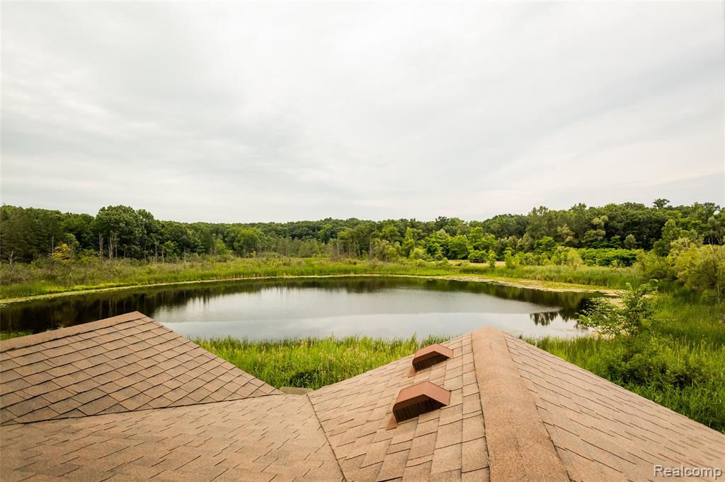 9050 Lake Dominion Drive, Brighton, MI 48114 — Photo 60