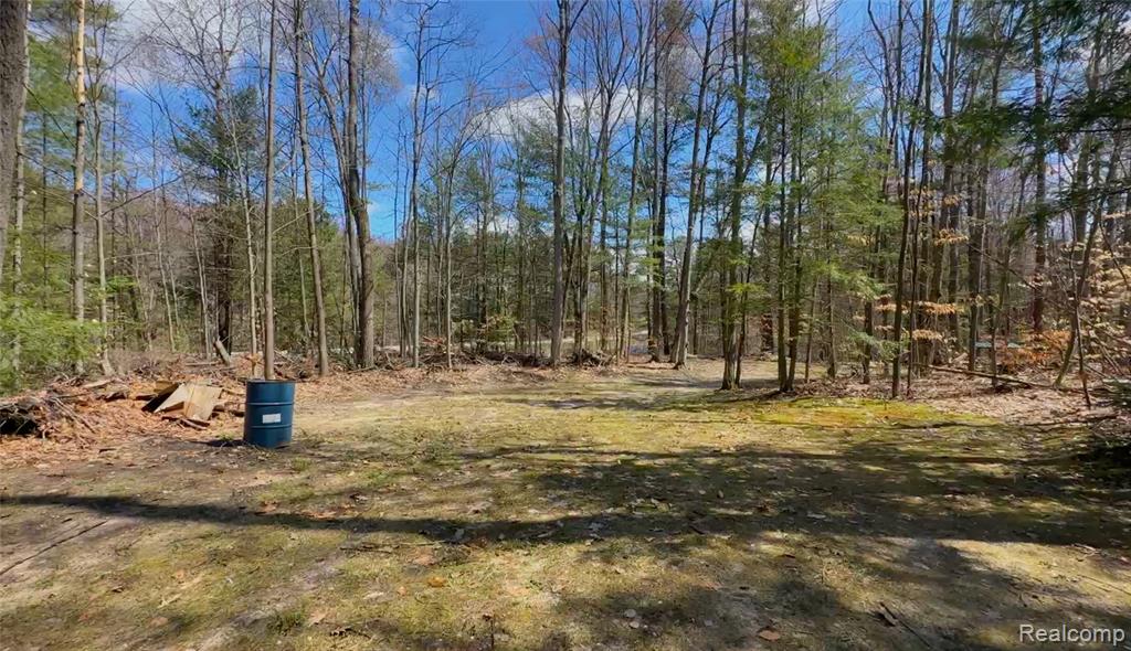 5089 Cottage Dr SE Drive SE, Kalkaska, MI 49646 — Photo 44