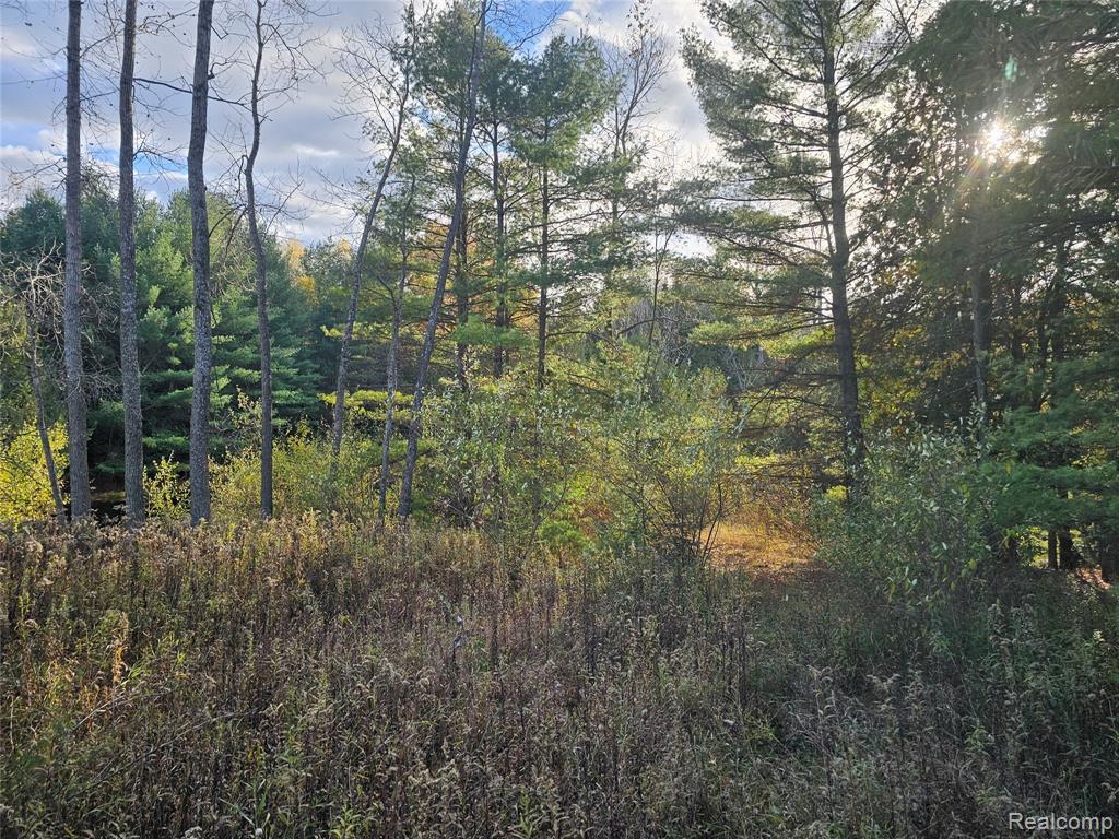 4901 M-55, Tawas City, MI 48763 — Photo 30