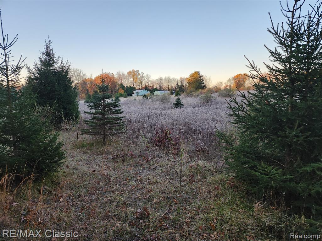 4125 N TIPSICO LAKE Road, Hartland, MI 48353 — Photo 15