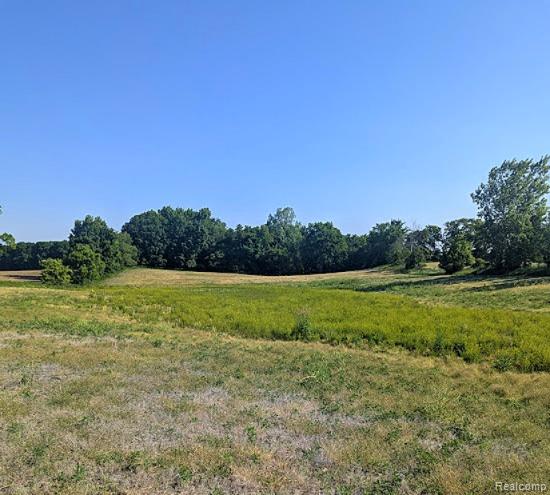 Parcel A - Rolston Road, Linden, MI 48451 — Photo 14