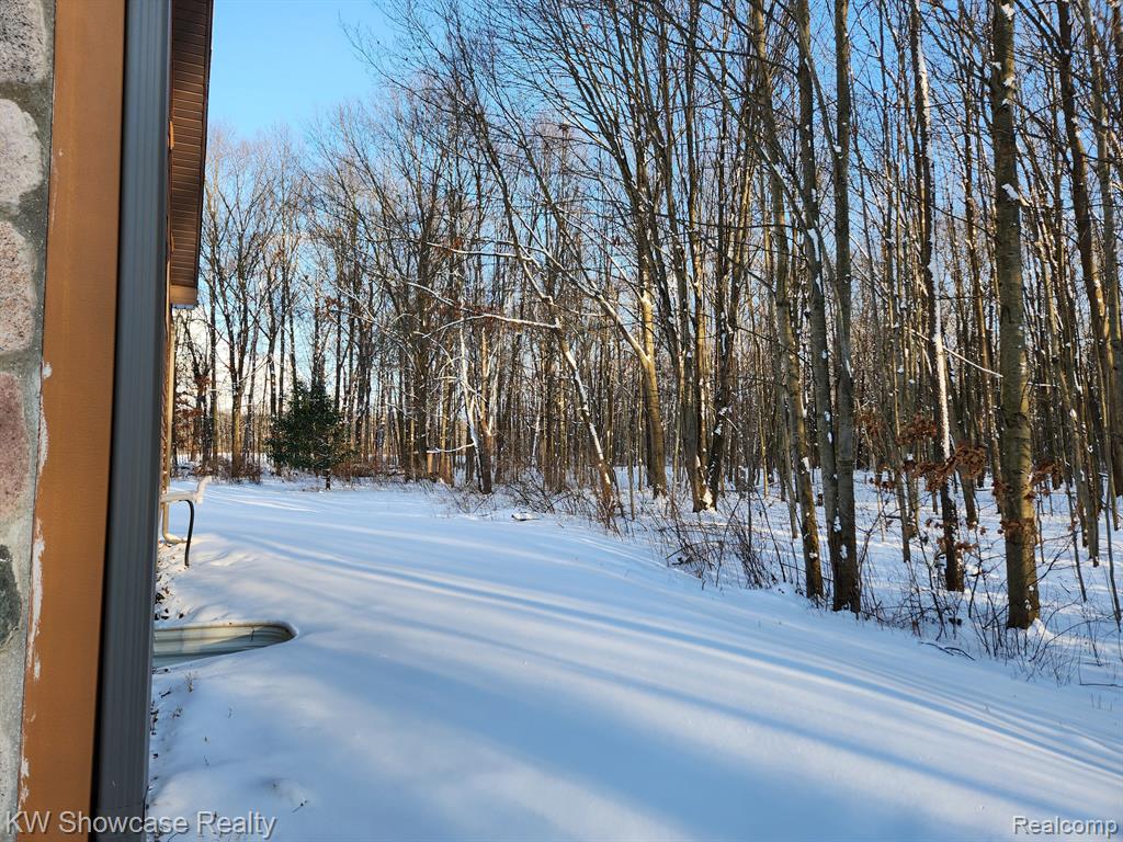 9246 WHITE Road, Linden, MI 48451 — Photo 85
