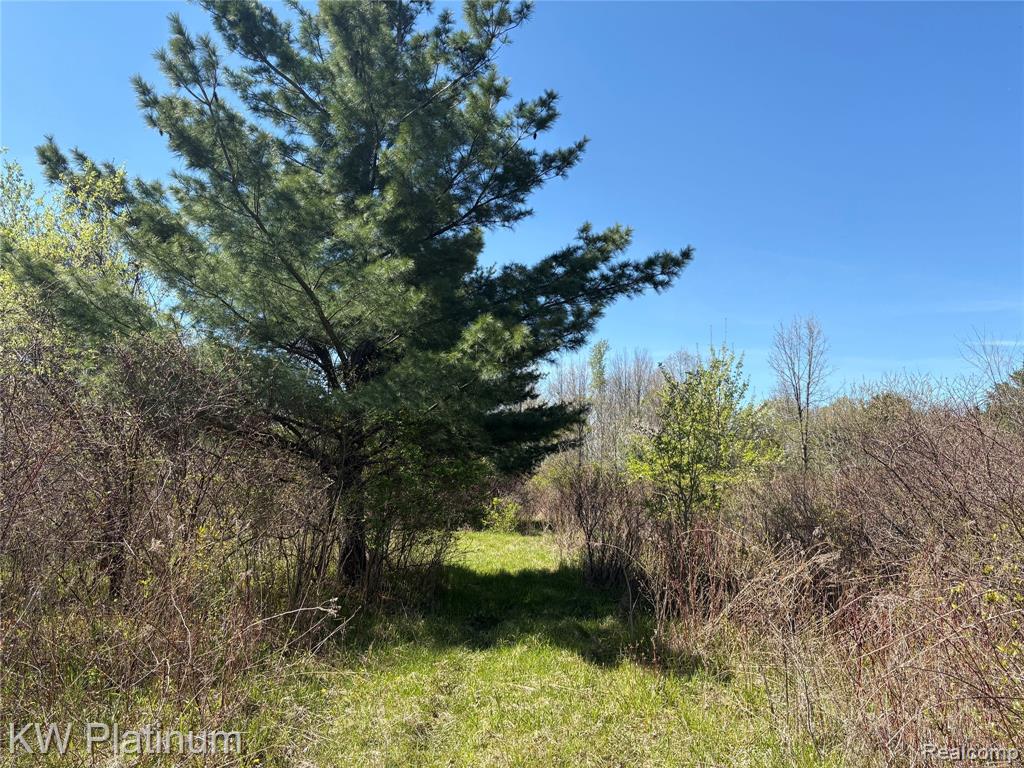 Parcel C Wicha Drive, Burtchville, MI 48059 — Photo 11
