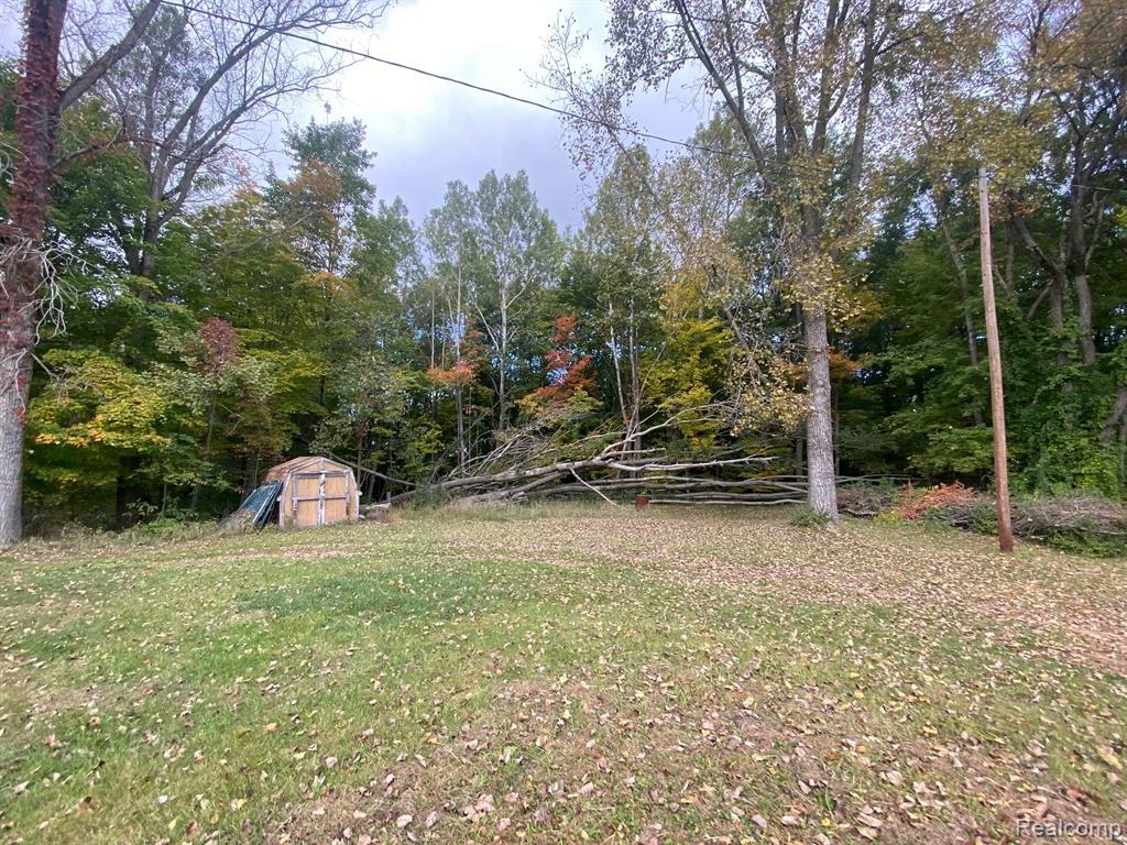 3979 HAINES Road, Attica, MI 48412 — Photo 8