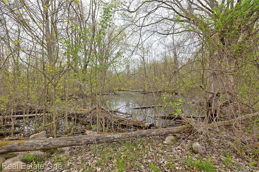 3960 Baldwin Road N, Ortonville, MI 48462 — Photo 51