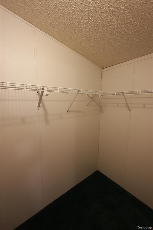 7208 Mapleview Circle E, Brown, MI 48416 — Photo 27